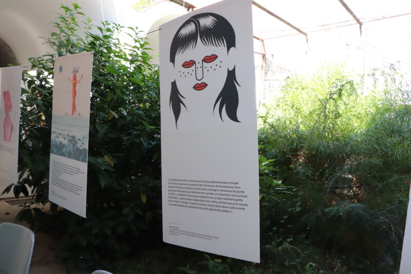 Image Not Found On Media Library