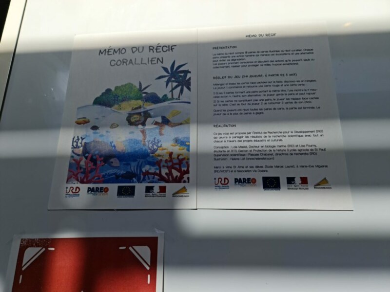 Les marmays des écoles Marcel-LAURET et Anne-Marie-SOUPAPOULLÉ protègent leur environnement