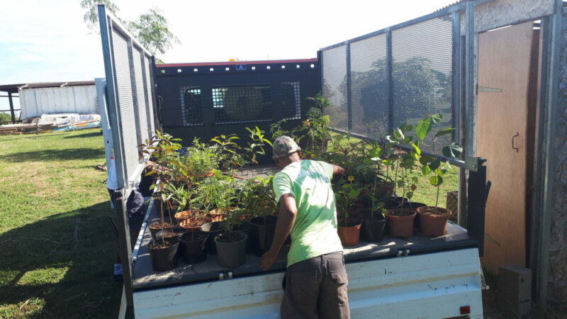 Plantation de l'école Marcel-LAURET