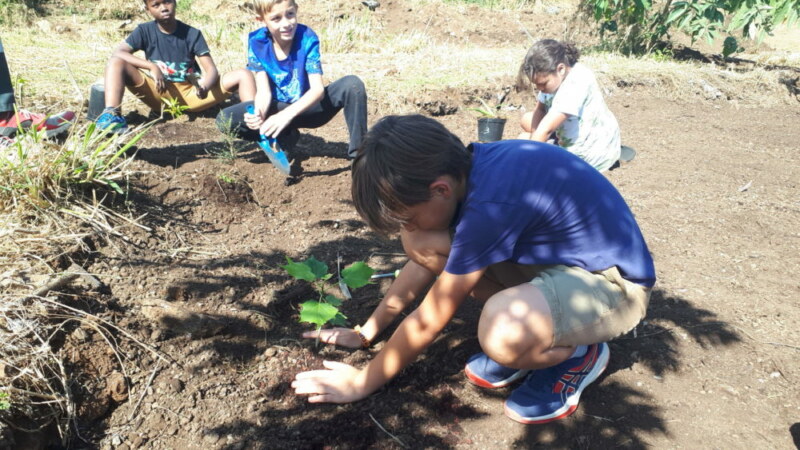 Plantation de l'école Marcel-LAURET