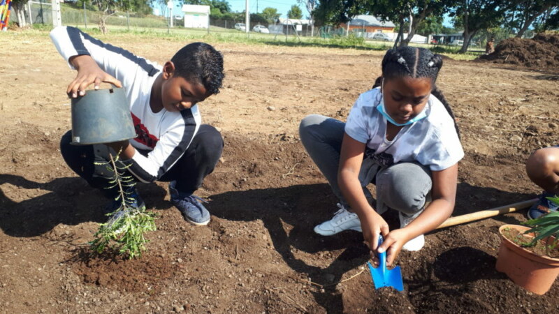 Plantation de l'école Marcel-LAURET