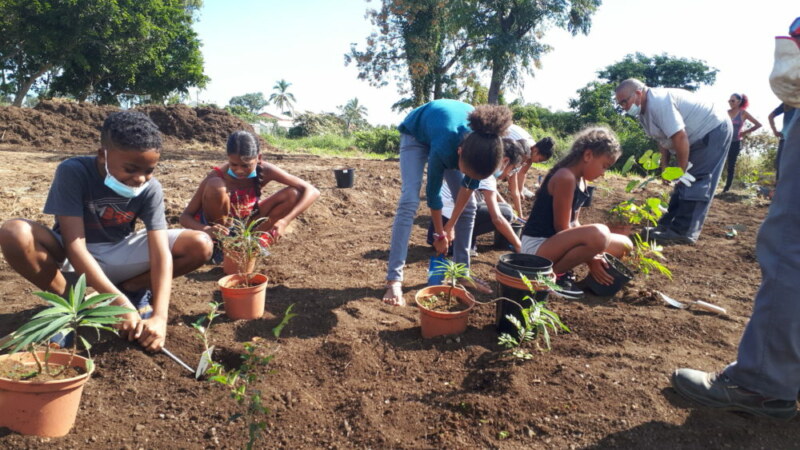 Plantation de l'école Marcel-LAURET