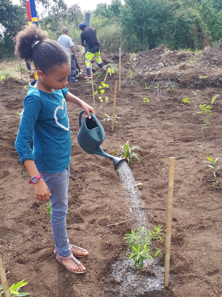 Plantation de l'école Marcel-LAURET