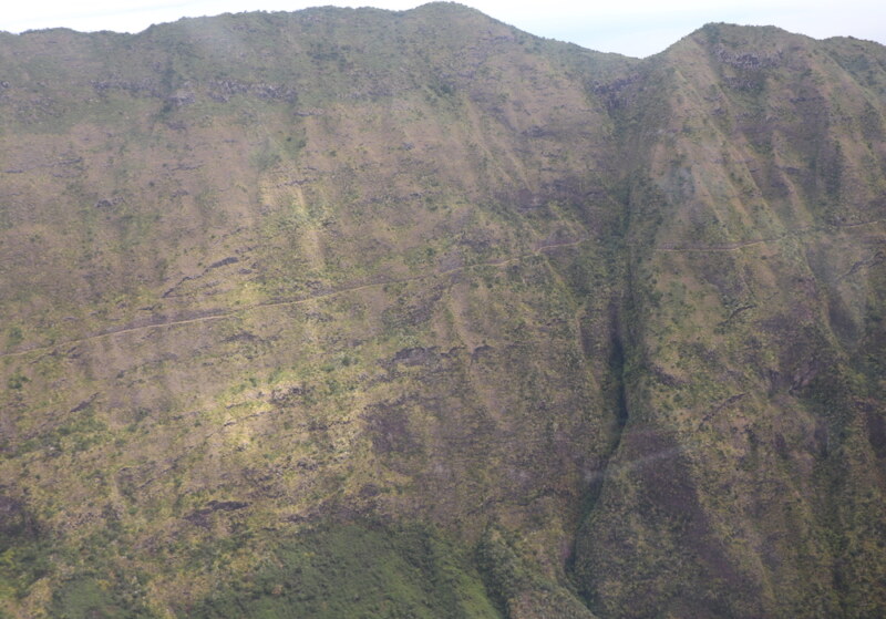 Image Not Found On Media Library