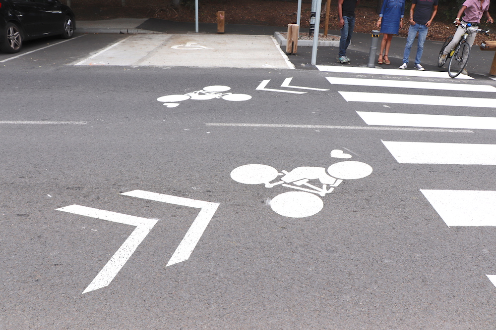 Des Gouzous sur les pistes cyclables de Saint-Paul