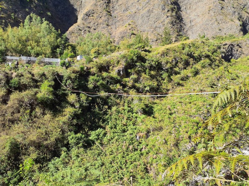 Image Not Found On Media Library