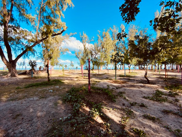 Des travaux à l'Hermitage