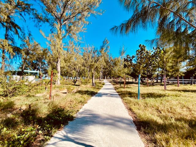 Des travaux à l'Hermitage