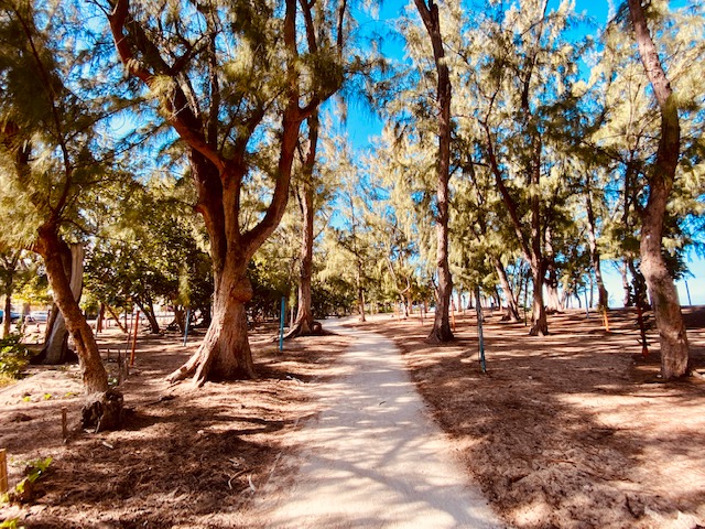 Des travaux à l'Hermitage