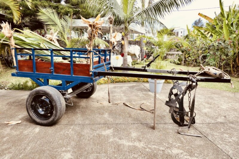 Hommage et émotions à la mémoire de Willy DALAPA AMANA à la Saline