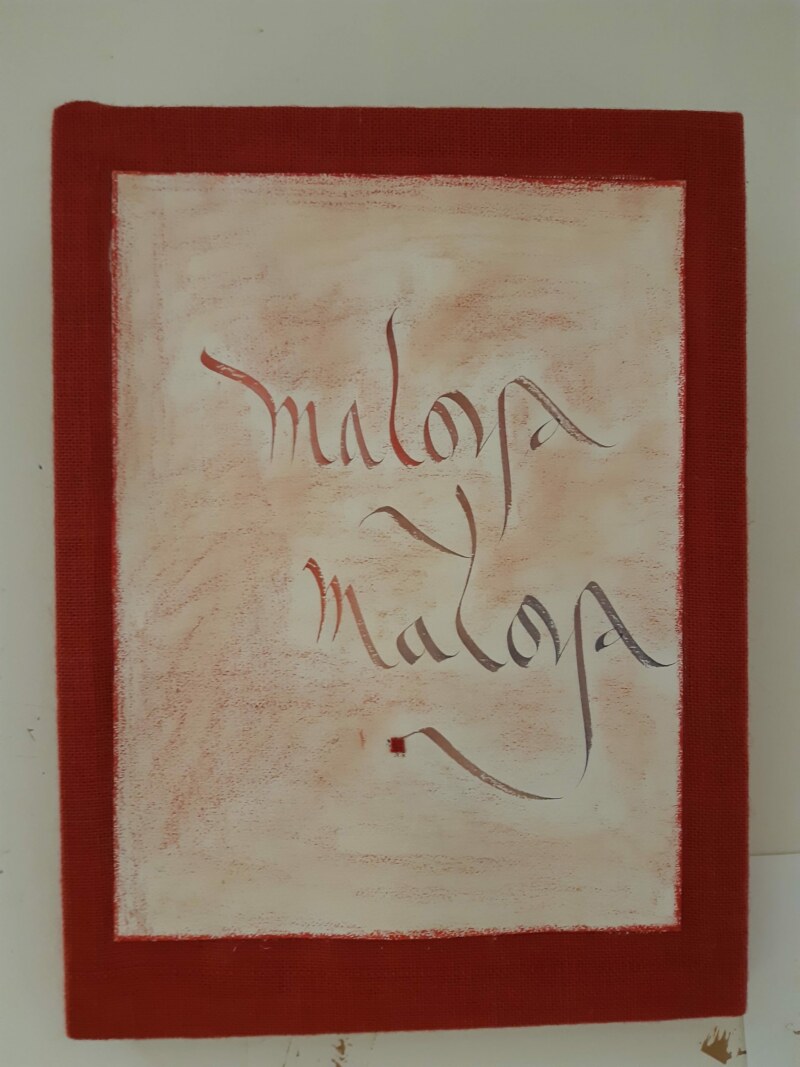 le vernissage de l'exposition de Nadia AKHOUN à la médiathèque Leconte-de-Lisle