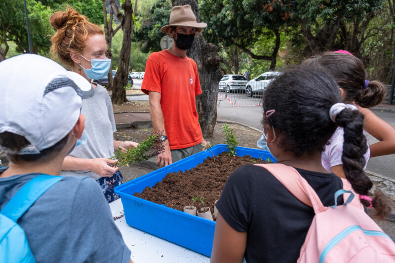 Image Not Found On Media Library