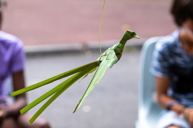 Image Not Found On Media Library