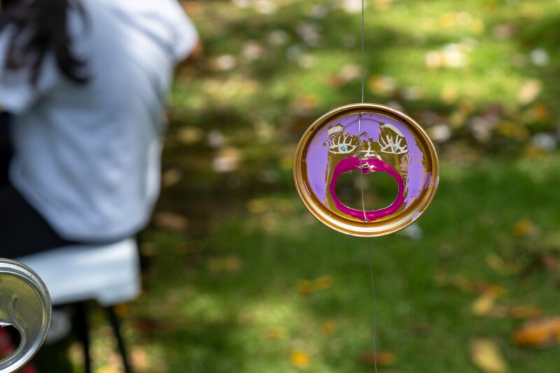 Image Not Found On Media Library