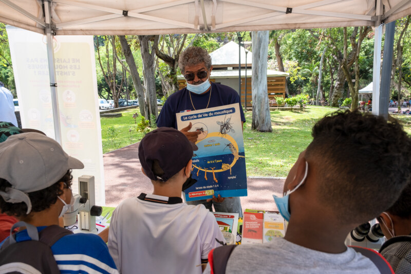 Image Not Found On Media Library