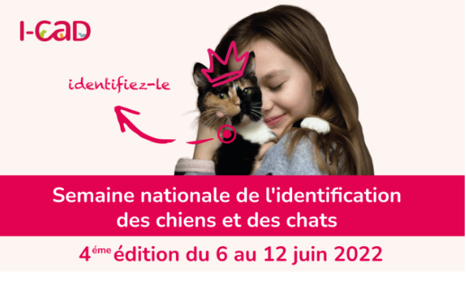 Animaux : identification animale