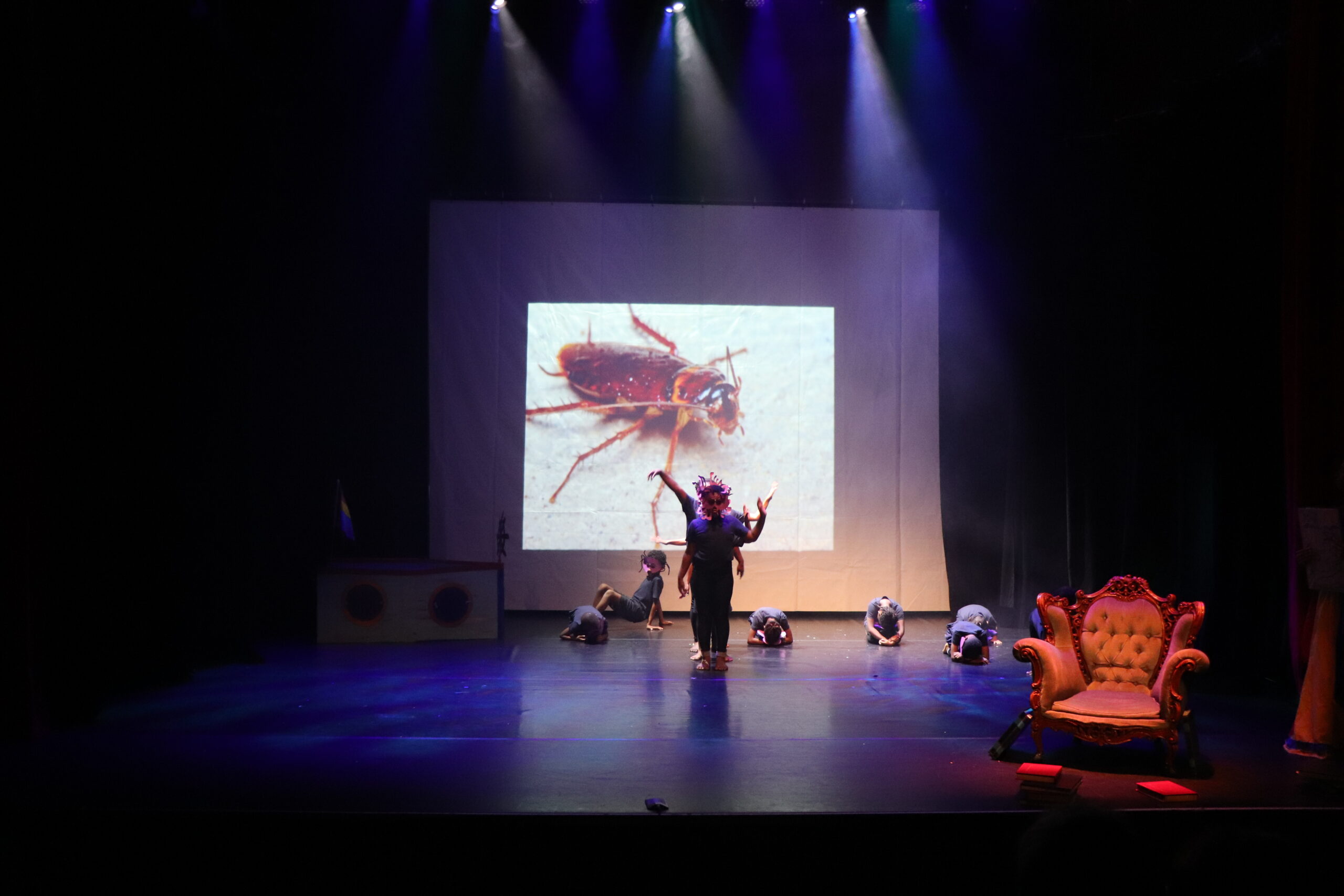 CLAS : Les marmay de Grande Fontaine se produisent en spectacle à Léspas