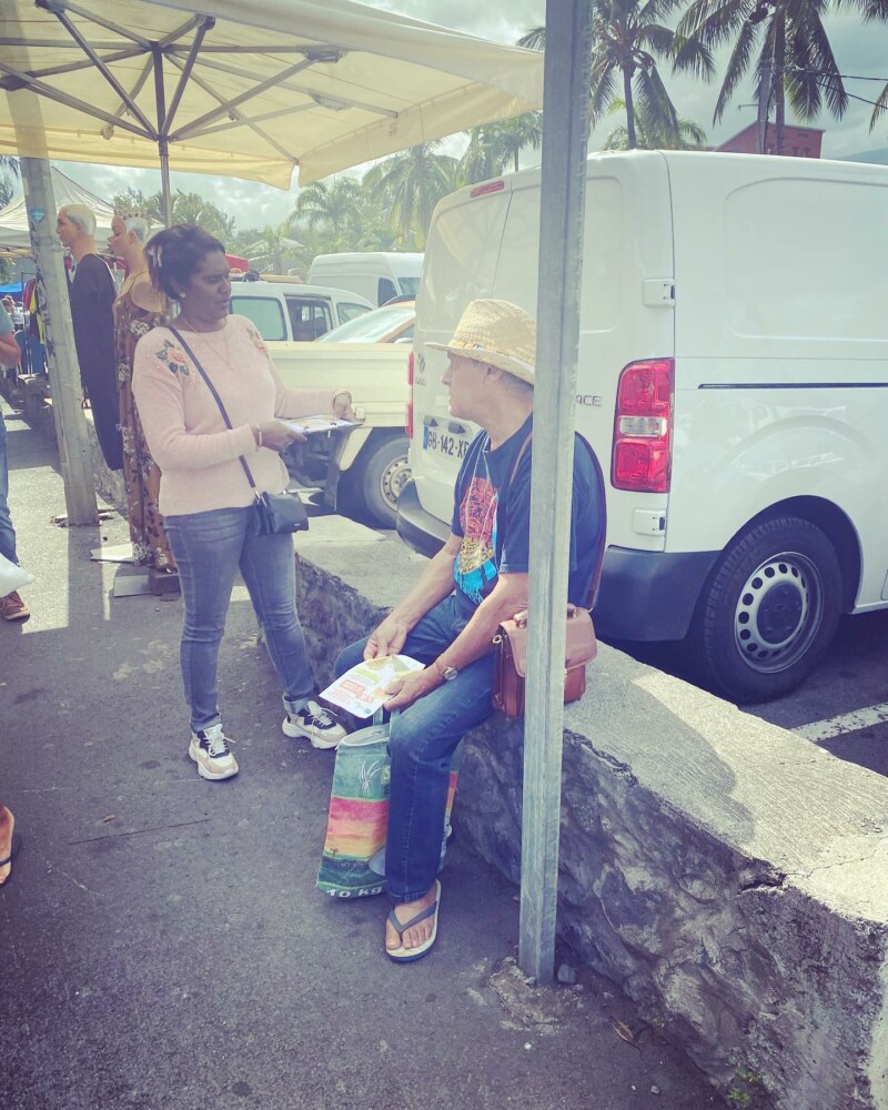 La Ville mobilisée contre le tulipier du Gabon