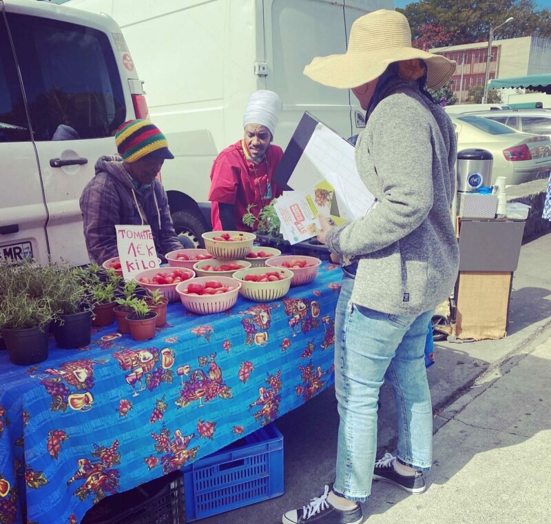 La Ville mobilisée contre le tulipier du Gabon