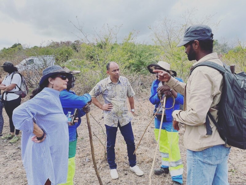 Journées Européennes du Patrimoine 2022 à l'exploitation de Raymond DRULÉ, éleveur de bœuf Moka à Bois Rouge