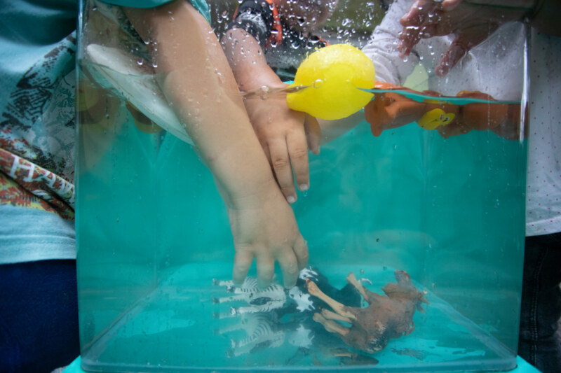 matinée de la petite enfance