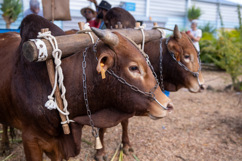 La Semaine Bleue se poursuit à l’Éperon : séniors