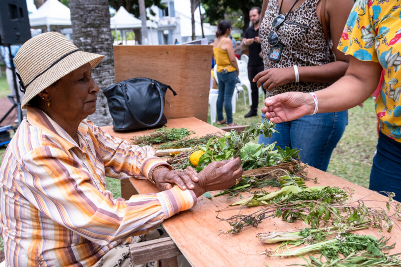 La Semaine Bleue bien lancée à Saint-Paul 
