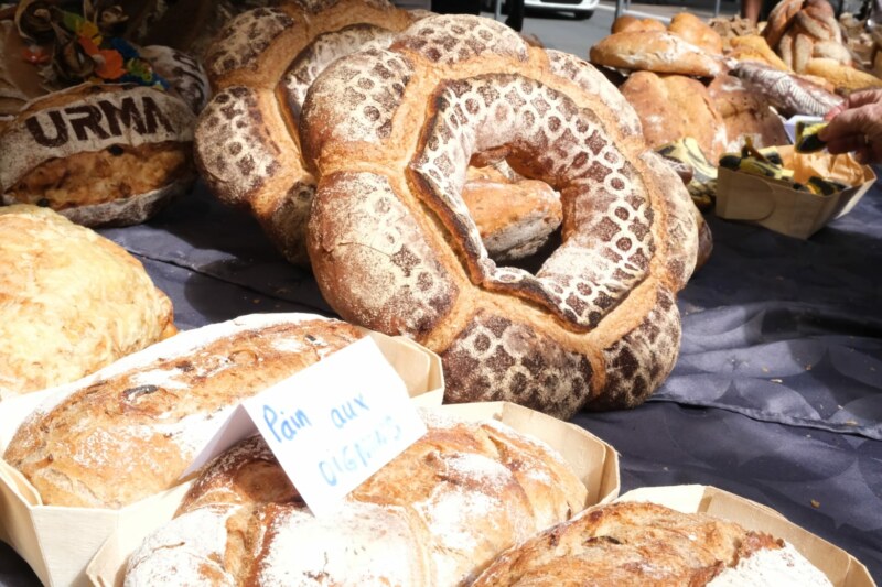 Image Not Found On Media Library