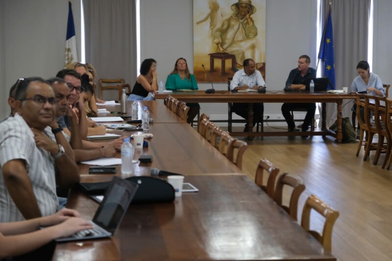 Santé : restitution des résultats de l’enquête « Santé Mentale en Population Générale »