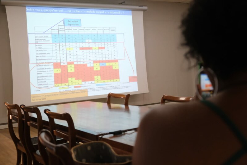 Santé : restitution des résultats de l’enquête « Santé Mentale en Population Générale »