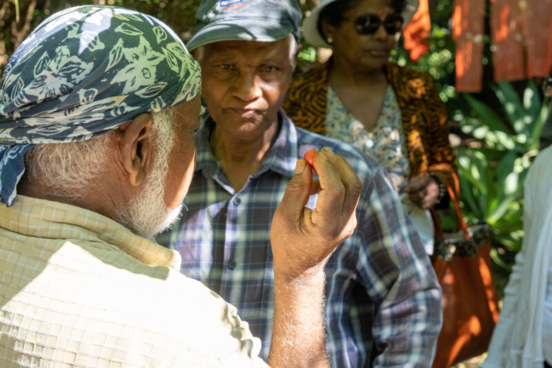 Saint-Paul, Ville Amie des Aînés, propose une nouvelle sortie culturelle dédiée aux séniors Ô Jardin de Paulo, au Tour des Roches, ce mercredi 31 mai 2023. Visite du jardin, fabrication de bougies en cire d'abeille, dégustation de gâteau péi et infusion... Une fois encore, le programme proposé a fait le bonheur de nos plus anciens.