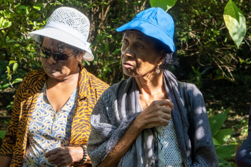 Saint-Paul, Ville Amie des Aînés, propose une nouvelle sortie culturelle dédiée aux séniors Ô Jardin de Paulo, au Tour des Roches, ce mercredi 31 mai 2023. Visite du jardin, fabrication de bougies en cire d'abeille, dégustation de gâteau péi et infusion... Une fois encore, le programme proposé a fait le bonheur de nos plus anciens.
