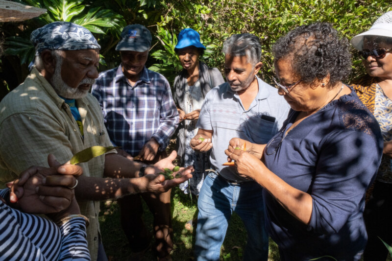 Saint-Paul, Ville Amie des Aînés, propose une nouvelle sortie culturelle dédiée aux séniors Ô Jardin de Paulo, au Tour des Roches, ce mercredi 31 mai 2023. Visite du jardin, fabrication de bougies en cire d'abeille, dégustation de gâteau péi et infusion... Une fois encore, le programme proposé a fait le bonheur de nos plus anciens.