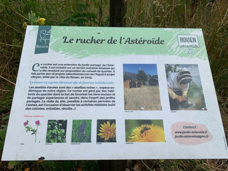 Image Not Found On Media Library