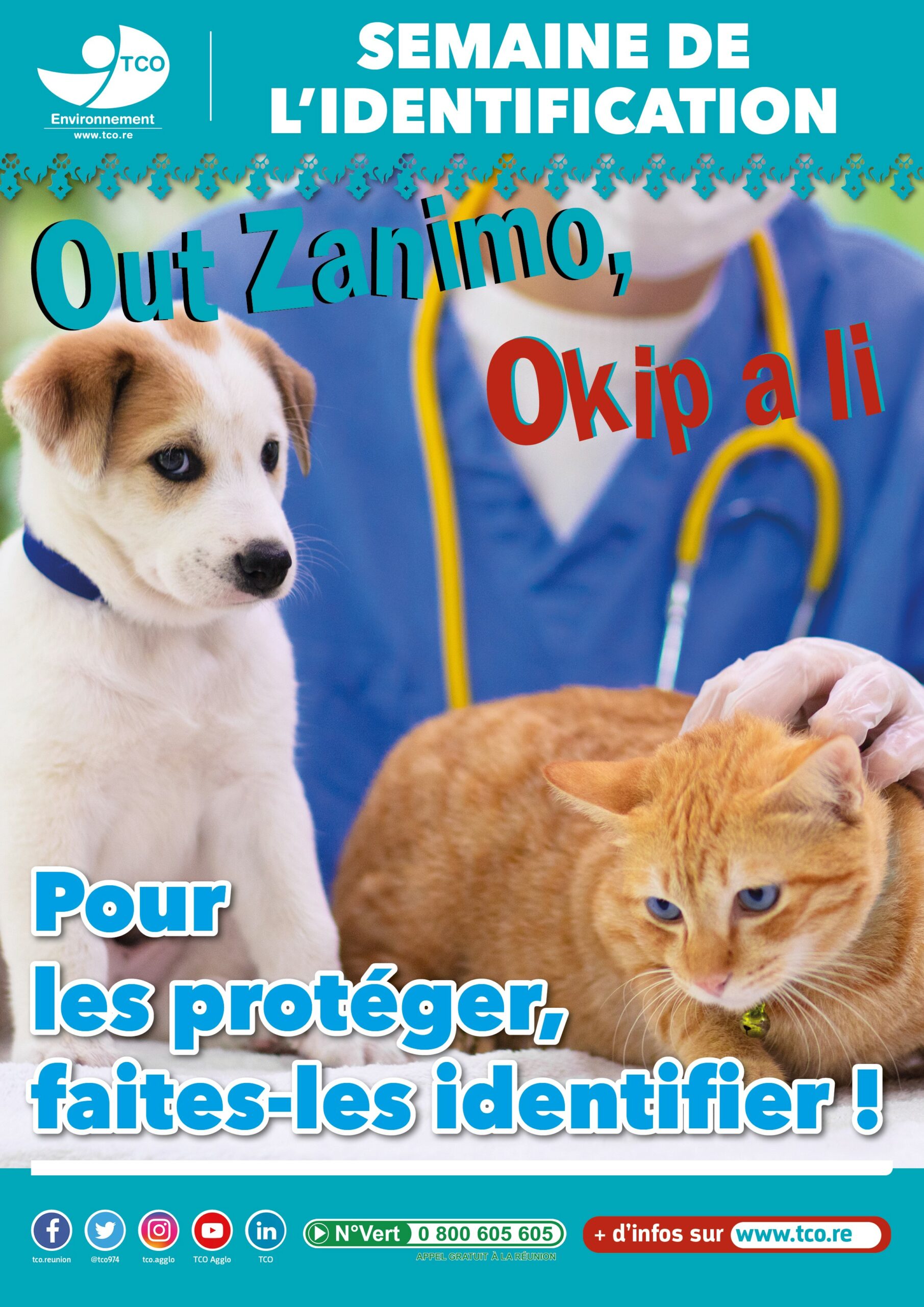 La cinquième semaine nationale de l’identification des chiens et des chats, du 12 au 18 juin 2023, démarrera le 10 juin, avec deux jours d’avance dans les communes du Territoire de la Côte Ouest, y compris à Saint-Paul.