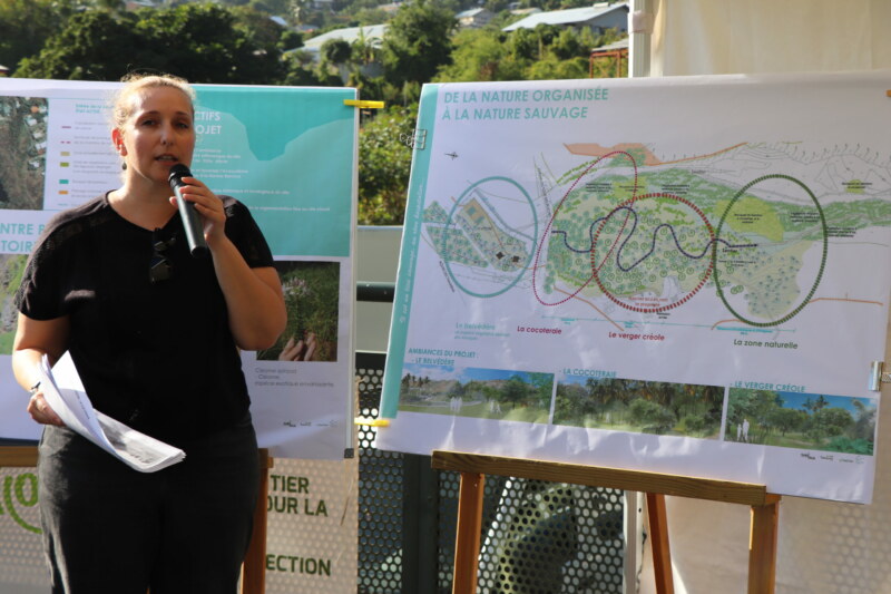 Des citoyens Saint-Paulois, des membres d'une dizaine d’associations du quartier de Grande Fontaine, des marmay, des gramouns, le Maire de Saint-Paul, Emmanuel SÉRAPHIN, et les élues du Conseil Municipal réalisent les premières plantations du projet d’aménagement touristique et paysager de la ravine Bernica ce vendredi 21 juillet 2023.