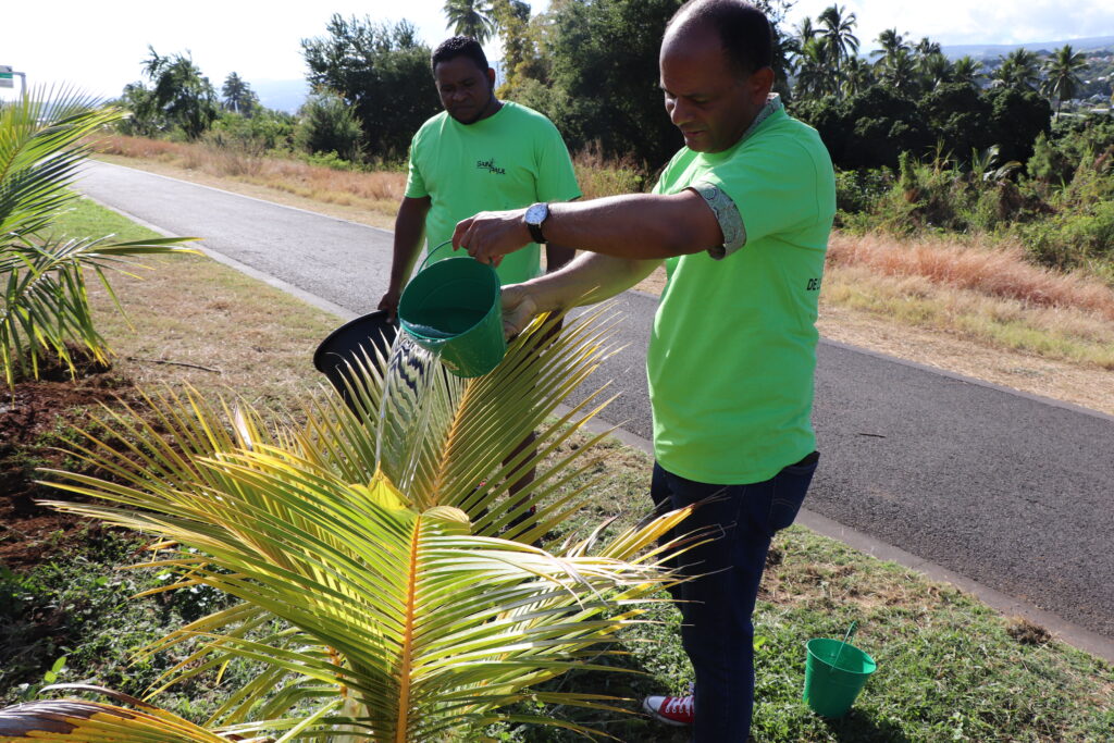 Des citoyens Saint-Paulois, des membres d'une dizaine d’associations du quartier de Grande Fontaine, des marmay, des gramouns, le Maire de Saint-Paul, Emmanuel SÉRAPHIN, et les élues du Conseil Municipal réalisent les premières plantations du projet d’aménagement touristique et paysager de la ravine Bernica ce vendredi 21 juillet 2023.