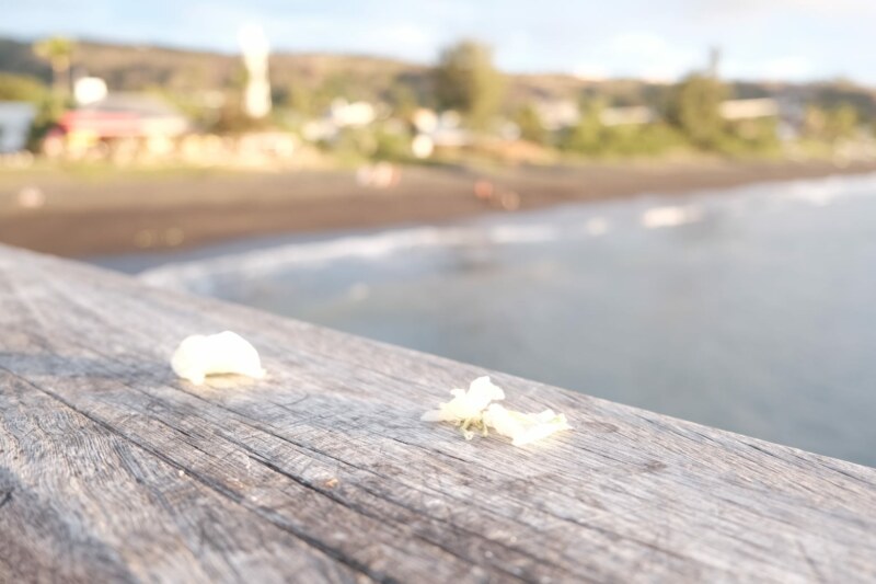 Vivez avec nous la fête des pêcheurs ! Cet événement populaire se déroule sur la place du Débarcadère, près de la baie du meilleur ancrage ce mardi 15 août 2023.