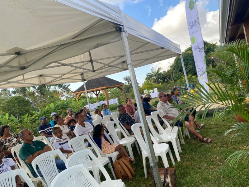Ça y est : on connaît le palmarès du concours « Jardins et balcons fleuris ». La ferme ICHABE accueille les lauréats de cette 13ème édition ce samedi 19 août 2023. Une fois encore, ces Saint-Pauloises et ces Saint-Paulois contribuent à fleurir leur Ville.