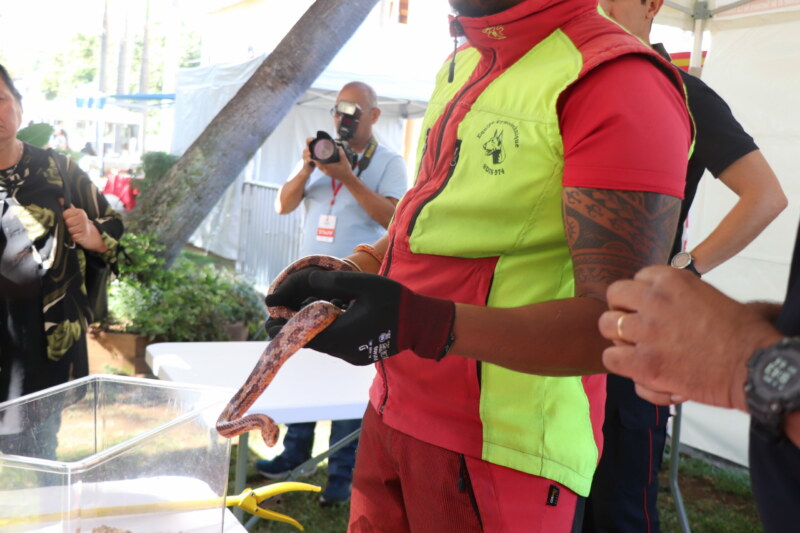 Image Not Found On Media Library