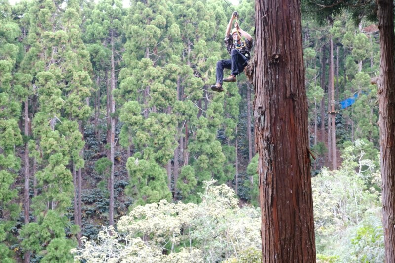 Ce mardi matin 11 octobre 2023 a eu lieu l'inauguration de la structure Accrobranche « Enlèr Pied’ Bois » en présence des gérants de la structure, Nathaniel et Anaïs LOUISO, du Maire de Saint Paul, Emmanuel SÉRAPHIN, de la Conseillère régionale et Sénatrice de La Réunion, Évelyne CORBIÈRE, et des autres élu·es.