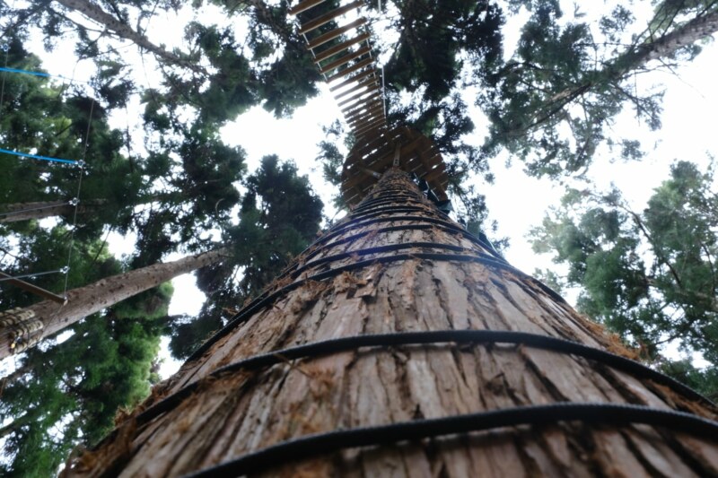 Ce mardi matin 11 octobre 2023 a eu lieu l'inauguration de la structure Accrobranche « Enlèr Pied’ Bois » en présence des gérants de la structure, Nathaniel et Anaïs LOUISO, du Maire de Saint Paul, Emmanuel SÉRAPHIN, de la Conseillère régionale et Sénatrice de La Réunion, Évelyne CORBIÈRE, et des autres élu·es.