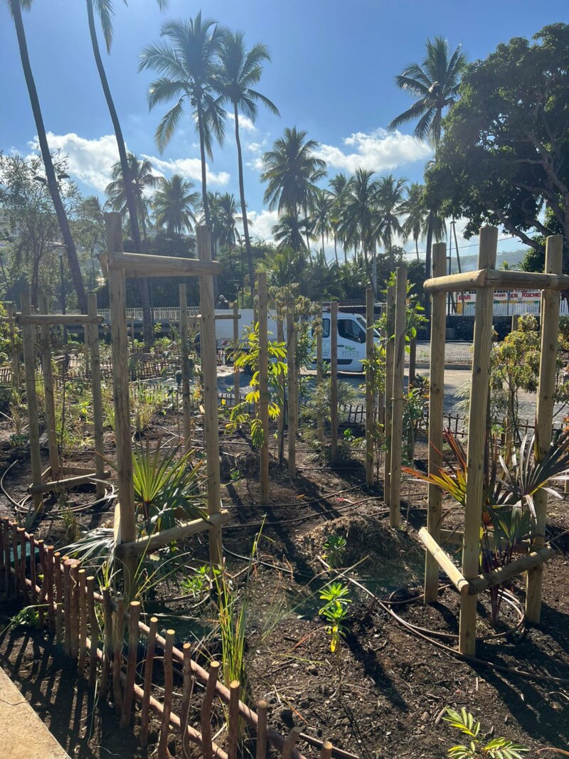 La Municipalité de Saint-Paul a réalisé un important travail de plantation de plus de 5 000 plantes (plantes en massif, arbustes, arbres moyens et à plus grand développement, palmiers etc.) dans le cadre du projet d’aménagement paysager et touristique de Saint-Gilles-les-Bains.