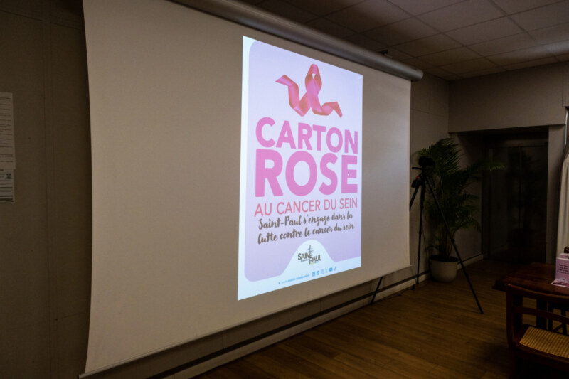 Le Conseil Municipal du 3 octobre 2024 aux couleurs du mois d'Octobre Rose.