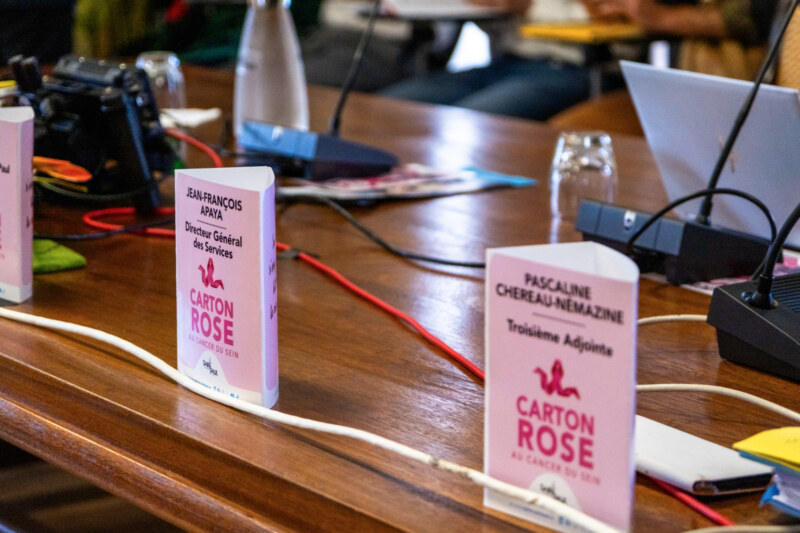 Le Conseil Municipal du 3 octobre 2024 aux couleurs du mois d'Octobre Rose.