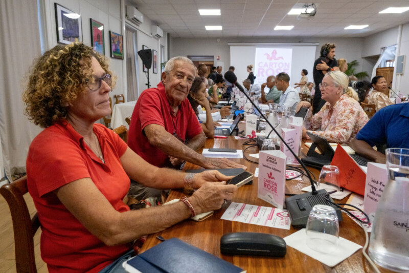 Le Conseil Municipal du 3 octobre 2024 aux couleurs du mois d'Octobre Rose.
