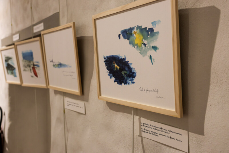 Jusqu'au 26 avril 2025, la Longère Sudel-FUMA accueille une exposition inédite : « Le Cap La Houssaye : entre savane et océan », un voyage artistique et historique au cœur de l’un des joyaux du patrimoine saint-paulois.