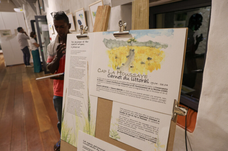 Jusqu'au 26 avril 2025, la Longère Sudel-FUMA accueille une exposition inédite : « Le Cap La Houssaye : entre savane et océan », un voyage artistique et historique au cœur de l’un des joyaux du patrimoine saint-paulois.