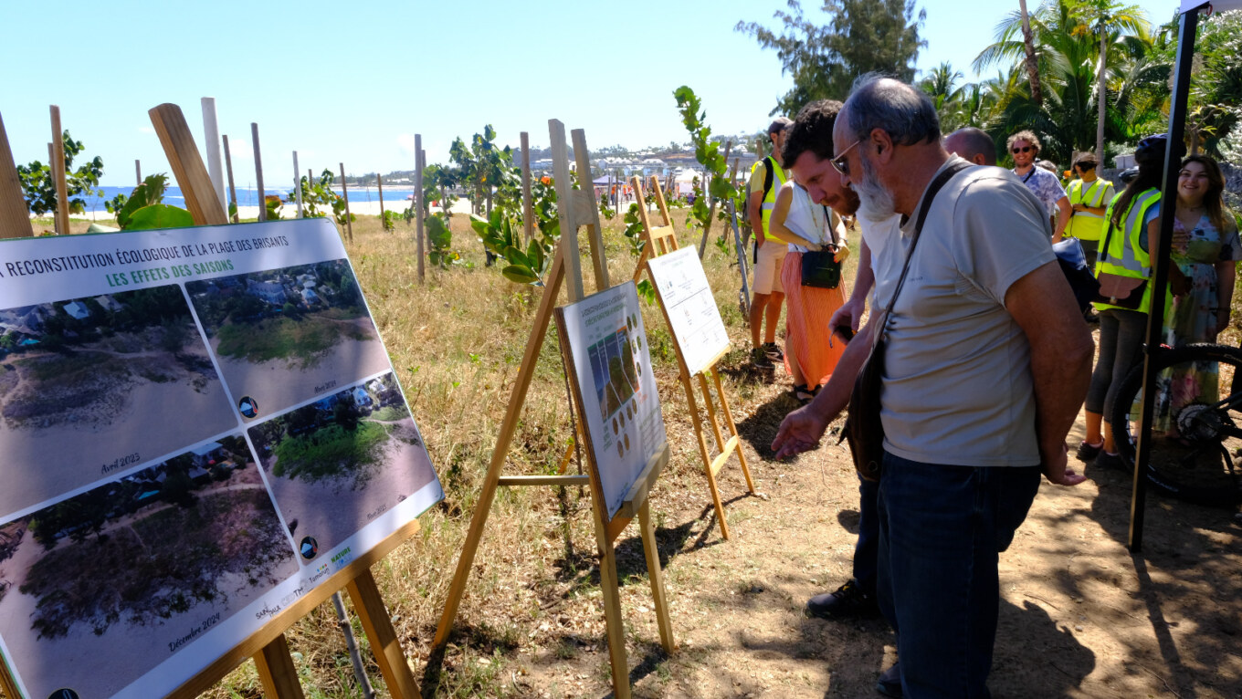 Revégétalisation de la plage des Brisants2