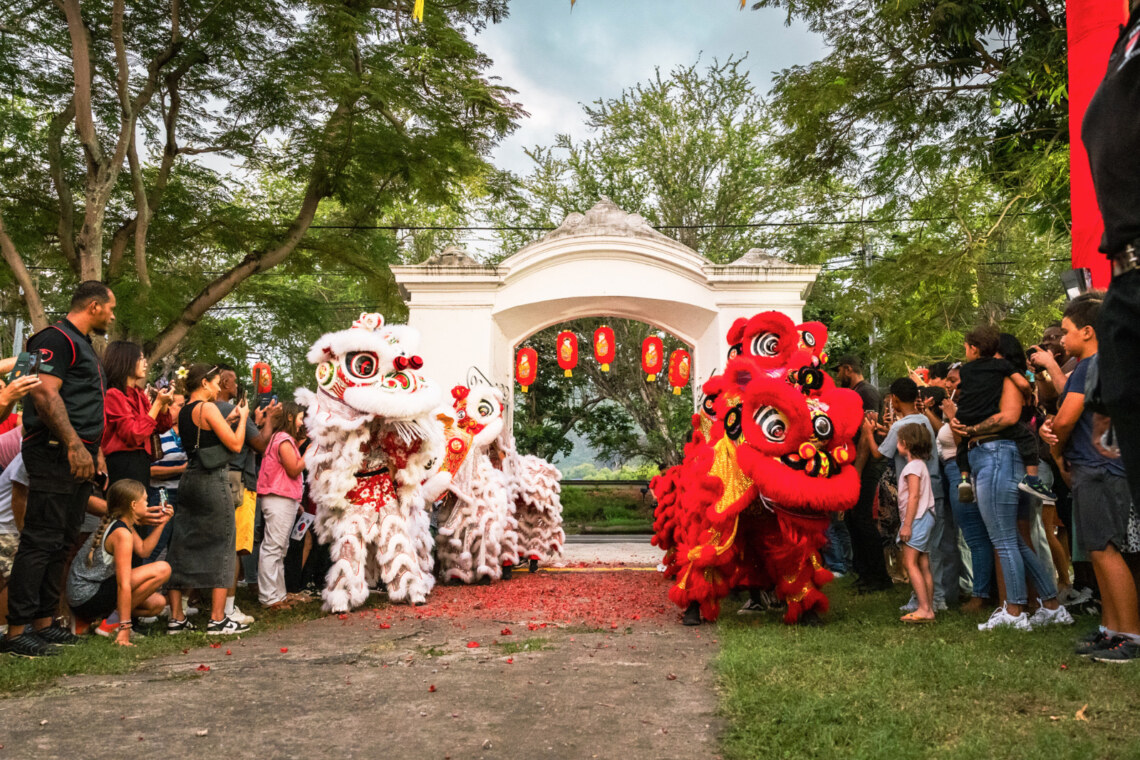 Lions et dragons du Nouvel An Chinois 2025